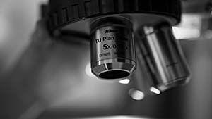 Microscope